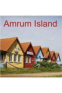 Amrum Island 2017