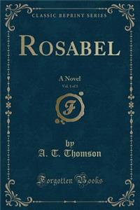 Rosabel, Vol. 1 of 3: A Novel (Classic Reprint)