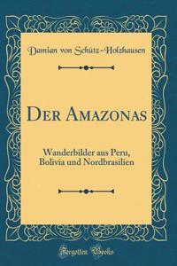 Der Amazonas: Wanderbilder Aus Peru, Bolivia Und Nordbrasilien (Classic Reprint)