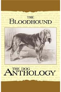 Bloodhound - A Dog Anthology (A Vintage Dog Books Breed Classic)