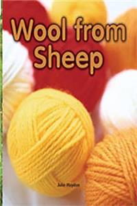 Wool from Sheep