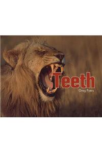Teeth
