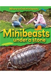 Where to Find Minibeasts: Minibeasts Under a Stone