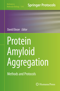 Protein Amyloid Aggregation