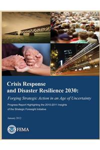 Crisis Response and Disaster Resilience 2030
