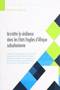 Building Resilience in Sub-Saharan Africa's Fragile States