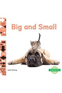 Big and Small