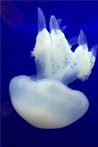 White Jellyfish Journal