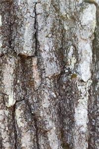 Journal Oak Tree Bark