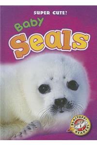 Baby Seals