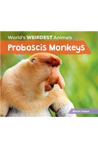 Proboscis Monkeys