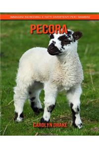 Pecora
