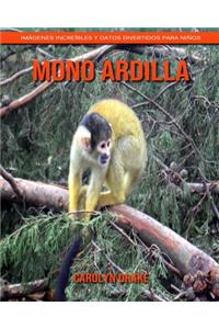 Mono ardilla