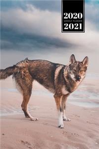 Wolf Wolves Week Planner Weekly Organizer Calendar 2020 / 2021 - At the Beach