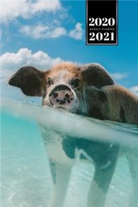 Pig Pork Piglet Farming Farmer Week Planner Weekly Organizer Calendar 2020 / 2021 - First Swimming Lesson