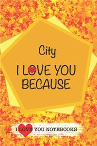 City I Love You Because /Love Cover Themes