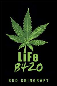 LiFe B420
