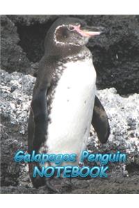 Galapagos Penguin NOTEBOOK