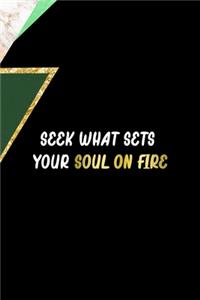 Seek What Sets Your Soul on Fire