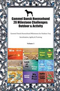 Gammel Dansk Hoensehund 20 Milestone Challenges