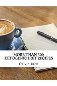 More than 500 Ketogenic Diet Recipes