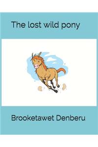 The lost wild pony