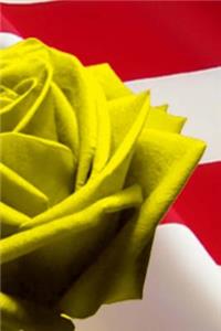2019 Weekly Planner Yellow Rose USA Flag Background Patriotic 134 Pages