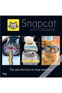 SNAPCAT 2020 SQUARE WALL CALENDAR