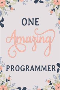 One Amazing Programmer