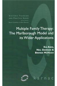 Multiple Family Therapy