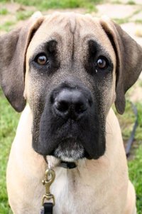 Daily Organizer and Planner