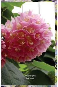 Hydrangea For Mom