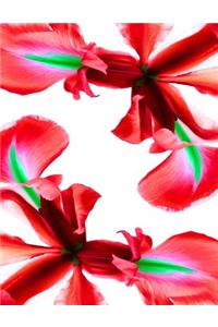 Red Iris Flower Notebook