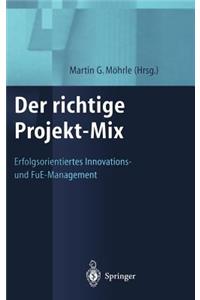 Der Richtige Projekt-Mix