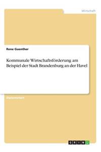 Kommunale Wirtschaftsförderung am Beispiel der Stadt Brandenburg an der Havel