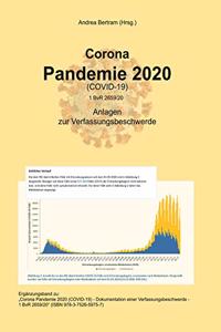 Corona Pandemie 2020 (Covid 19) - Ergänzungsband
