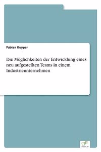 Die Möglichkeiten der Entwicklung eines neu aufgestellten Teams in einem Industrieunternehmen