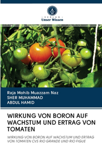 Wirkung Von Boron Auf Wachstum Und Ertrag Von Tomaten