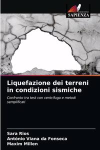 Liquefazione dei terreni in condizioni sismiche