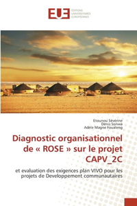 Diagnostic organisationnel de ROSE sur le projet CAPV_2C