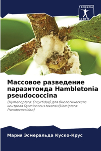 Массовое разведение паразитоида Hambletonia pseudococcina