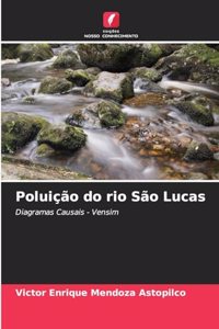 Poluição do rio São Lucas