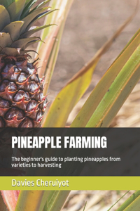 Pineapple Farming
