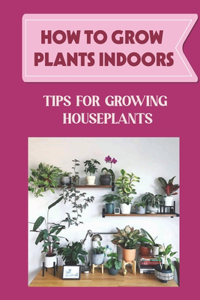 How To Grow Plants Indoors