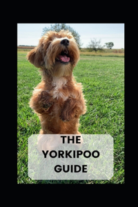 The Yorkipoo Guide