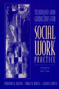 Techniues And Guidelines For Social Work Practice ;4 /E