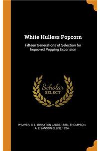 White Hulless Popcorn