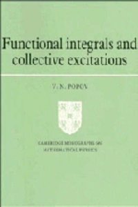 Functional Integrals and Collective Excitations