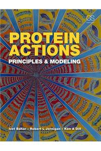 Protein Actions