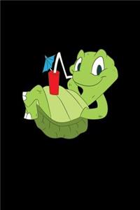 Turtle Notebook